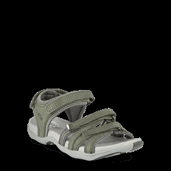 Green Comfort - Corsika Caia - Oliven