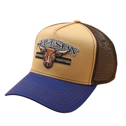 Stetson Trucker Cap Bull - Brown/Blue